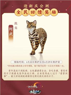 旭日网络天龙八部私服